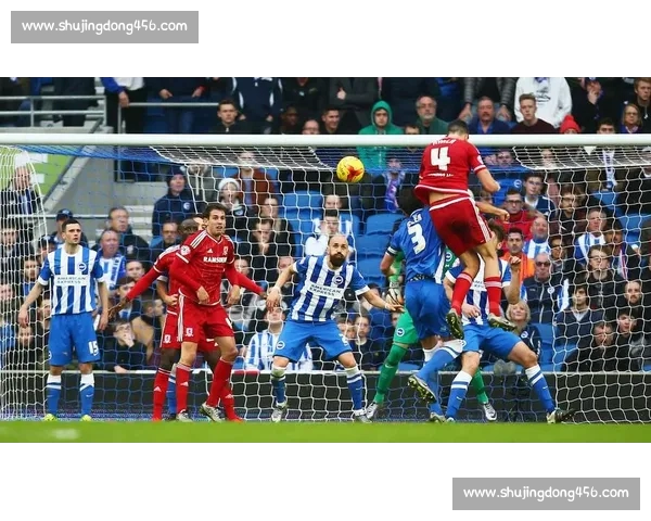 体育比分直播入口一站式服务平台实时更新全面覆盖各大赛事