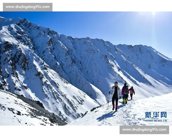 体育新闻一站式在线阅读平台 全面覆盖最新赛事动态与深度分析 体育新闻一站式在线阅读平台 全面覆盖最新赛事动态与深度分析